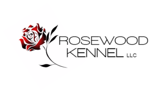 Rosewood Kennel Breeder of Goldendoodle Puppies in Minnesota